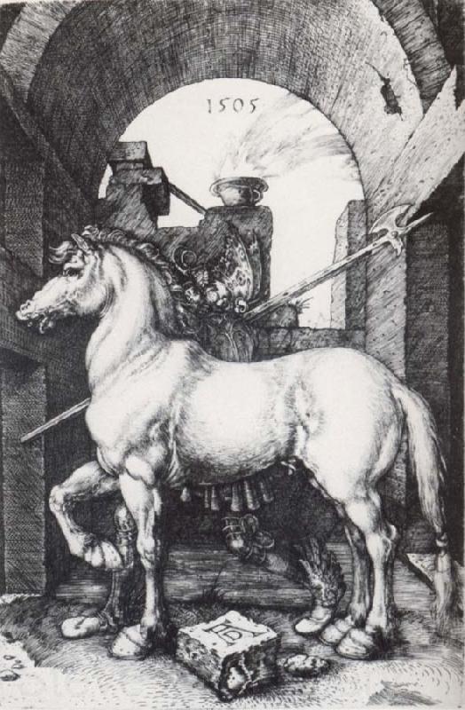 Albrecht Durer The Small Horse Norge oil painting art
